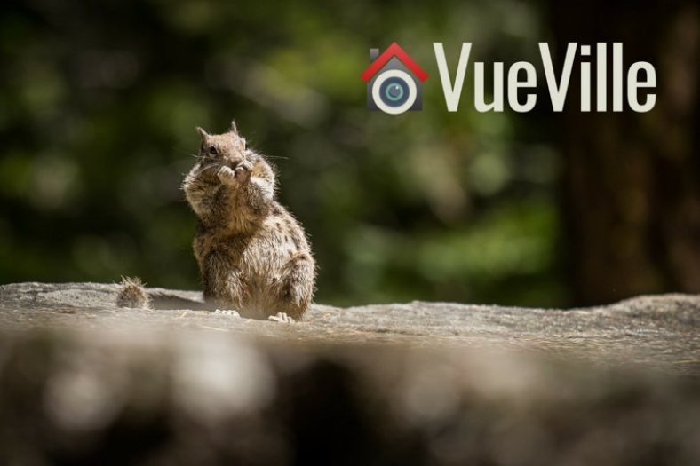 How-to: Secure your Hikvision camera from hackers, spies and your government