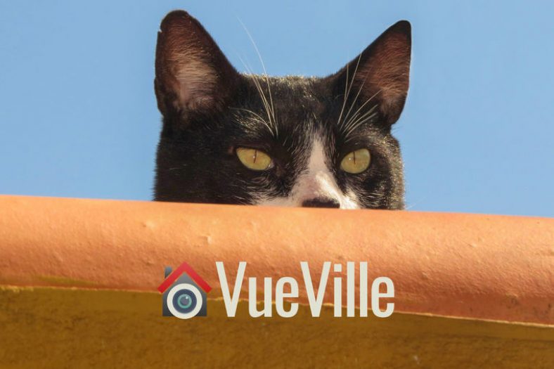 Best Spy Cameras for Nursing Homes VueVille