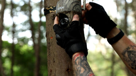 Reolink launches Keen Ranger PT Wire-free Trail Camera